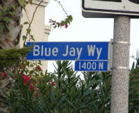 Blue Jay Way : plaque de rue